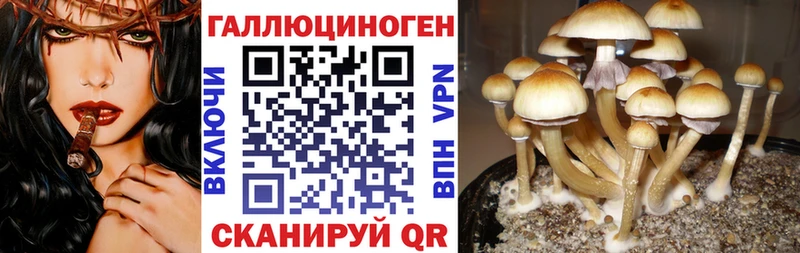 Галлюциногенные грибы Magic Shrooms  наркошоп  Очёр 